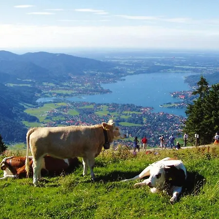 Haus Concordia In Am Tegernsee - Dal02002-cyf Lägenhet